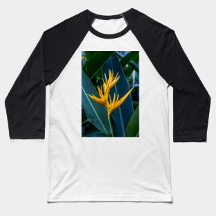 Yellow Florescent Heliconia Baseball T-Shirt